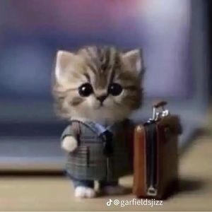 Meet your Posher, Matt